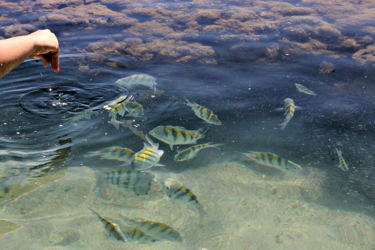 Pousada Casanossa Boipeba Island Exterior foto